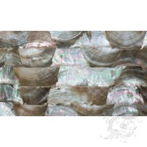 Flexible Mother of Pearl Sheet - Tawny Shell