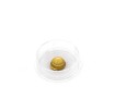 Shell Gold - 23.75ct