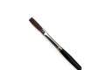Poster Brush Brown Ox hair One Stroke