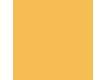 French Enamel Varnish - Gold