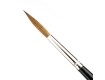 Pointed Writers - Pure Red Sable - Long Hair 