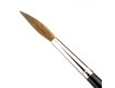 Pointed Writers - Pure Red Sable - Long Hair 