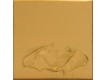Liquid Metal Acrylics Rich Gold