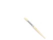 White Bristle Stencil Brush