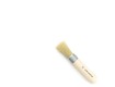 White Bristle Stencil Brush