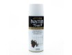 Painter's Touch Spray Paint - White