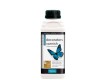 Polyvine Dead Flat Decorators Varnish - Water based - 1L