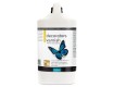 Polyvine Gloss Decorators Varnish - Water based - 1L