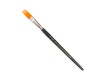 Kölner Poster Brush - Flat