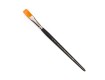 Kölner Poster Brush - Flat