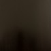 Japan Oil Colours - Raw Umber
