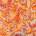 Variegated Transfer Leaf - No. 203