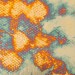 Variegated Loose Leaf No. 217