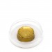 Shell Gold - 23.75ct - Large