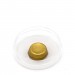 Shell Gold - 23.75ct - Medium (10mm)