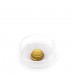 Shell Gold - 23.75ct - Small