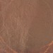 Variegated Loose Leaf - No.260 - Reverse Side