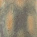 Variegated Loose Leaf - No. 275
