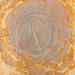 Variegated Loose Leaf - No. 282