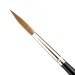 Pointed Writers - Pure Red Sable - Long Hair - Size 7