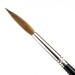 Pointed Writers - Pure Red Sable - Long Hair - Size 8