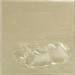 Liquid Metal Acrylics - Champagne - 5L 