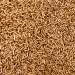 Water Based Bronze Powder Pale Gold 25gm