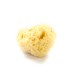 Natural Sea Sponge Medium 4.5 5.5 inch