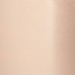 Coloured Loose Silver Leaf Pastel Colours - Champagne