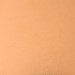 Copper Leaf After Gilding