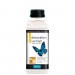 Polyvine Decorators Varnish - Gloss - 500ml