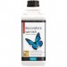 Polyvine Satin Decorators Varnish - Water based - 1L