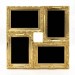 Gold Frame Before