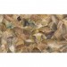 Mother of Pearl Sheet - Dark Irregular - 24 x 14 cm