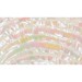 Abalone Sheet - Turbo - 24 x 14 cm