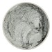 Mica Pigment Powder - Silver Moon No. 15