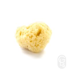 Natural Sea Sponge Medium 4.5 5.5 inch
