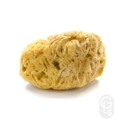 Natural Sea Sponge Large 6 inch