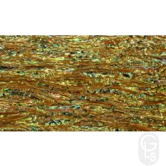 Abalone Sheet - Chameleon Green