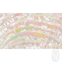 Abalone Sheet - Turbo - 24 x 14 cm
